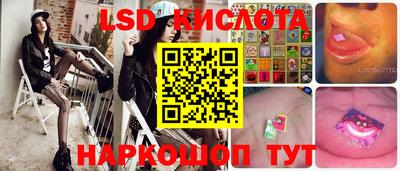 шишки Аргун