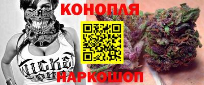 шишки Аргун