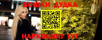 шишки Аргун