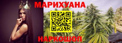 шишки Аргун