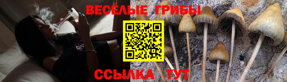 Псилоцибиновые грибы MAGIC MUSHROOMS  Вход с VPN  где купить   Волжский  Псилоцибиновые грибы мицелий 