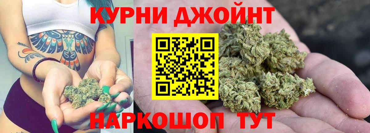 Каннабис конопля Волжский